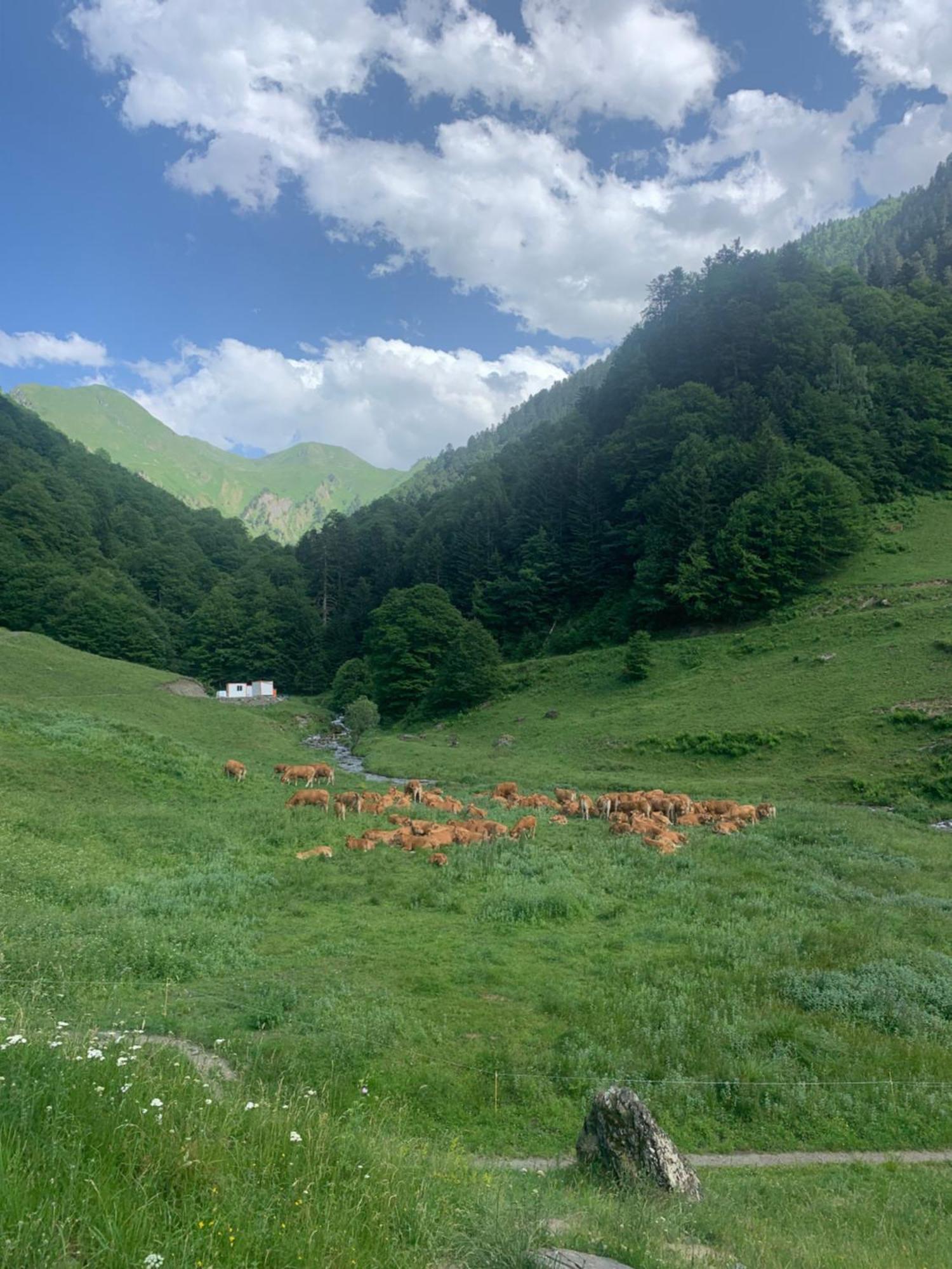 Appartement 2 Personnes Cures Ski Luchon Bagnères-de-Luchon 外观 照片